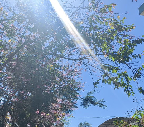 THAM KHẢO CHÍNH SÁCH THUẾ VỀ KHOẢN CHI KHÁM SỨC KHỎE LÀM GIẤY PHÉP LAO ĐỘNG CHO NGƯỜI NƯỚC NGOÀI TRƯỚC KHI KÝ HĐLĐ